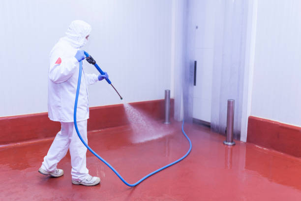 Best Deck and Patio Pressure Washing in San Diego, TX