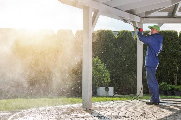 Best Residential Pressure Washing in San Diego, TX