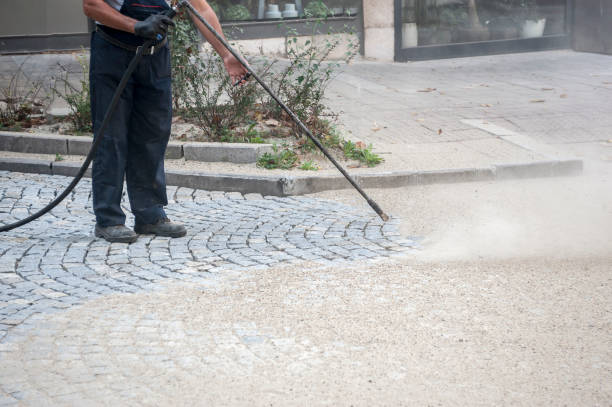 Best Fence Cleaning and Maintenance in San Diego, TX