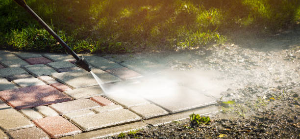 Best Roof Cleaning and Mildew Removal in San Diego, TX